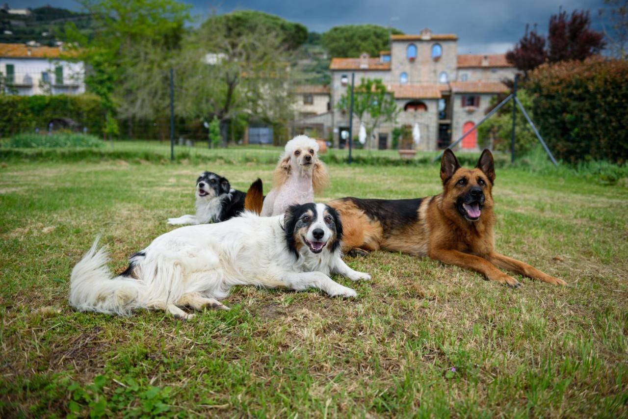 Monastero San Silvestro Villa กอร์โตนา ภายนอก รูปภาพ